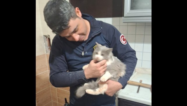 Malatya'da havalandırma boşluğuna düşen kedi kurtarıldı