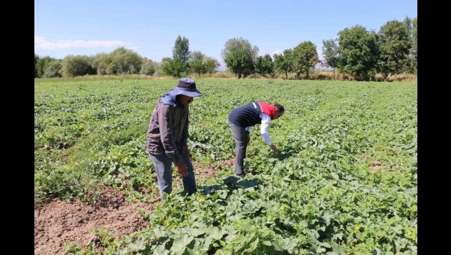 ÇKS başvuruları 31 Aralık'ta sona eriyor