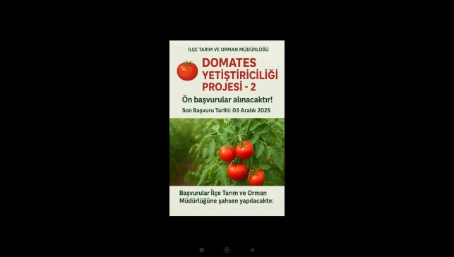 Muradiye'de "Domates Yetiştiriciliği" projesi için ön başvurular başladı