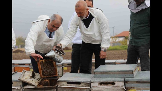 Elazığ arı kovanları incelendi