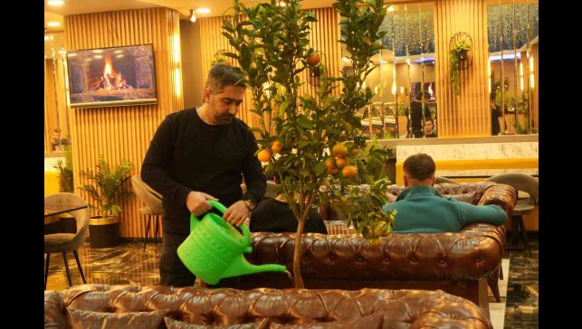 Kafede mandalina yetiştiriyor, müşterilerle paylaşıyor