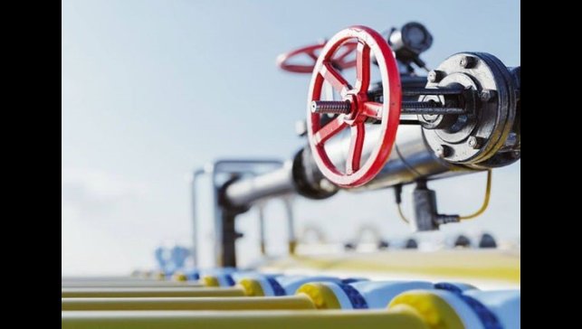 PALEN, kış ortasında dondurdu