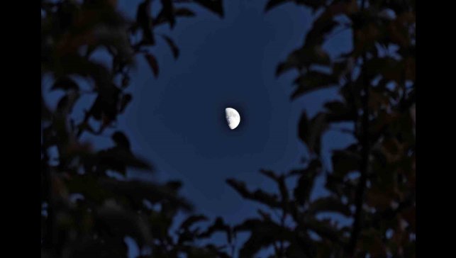 Ahlat'ta yarım ay manzarası hayran bıraktı