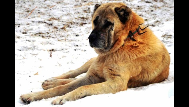 Erzurum'da bir kayıp hikâyesi