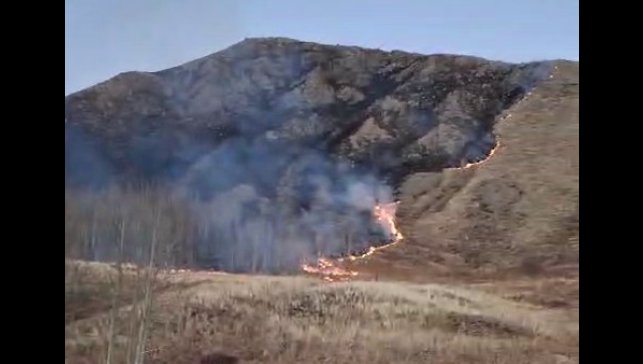 Oltu'da örtü yangını korkuttu