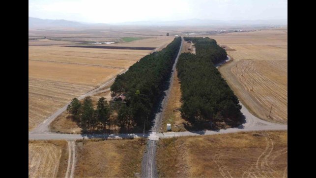 Kars'ta bozkırın ortasındaki vaha havadan görüntülendi