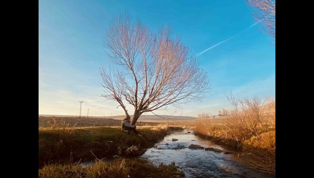 Sonbaharda sararan yapraklar görsel şölen oluşturdu