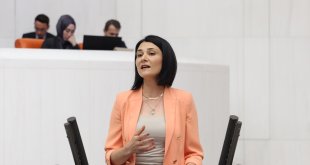 Ağrı’da kadın doğum hizmetlerindeki eksiklik Meclis gündeminde