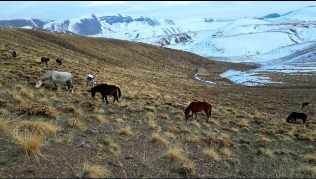 Nemrut Kalderası'nda at sürüsünün gizemli yolculuğu