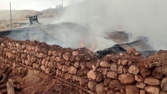 Erzurum'da samanlık ve ahırda çıkan yangında 21 büyükbaş hayvan telef oldu