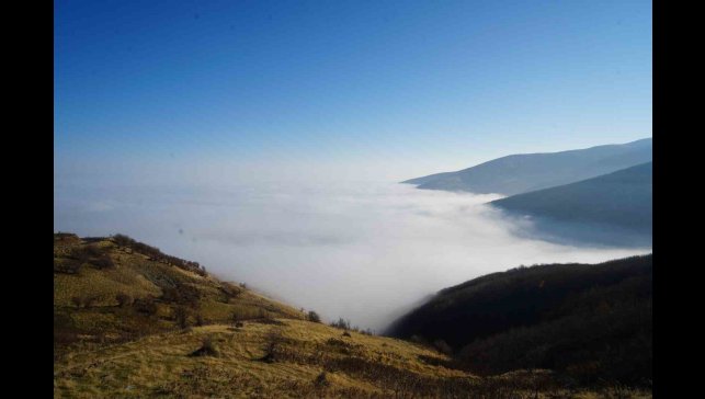 Muş'ta sis ovayı kapladı: Kartpostallık manzaralar oluştu