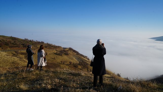 Muş'ta sis etkili oldu