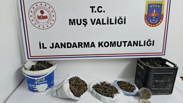 Muş'ta uyuşturucu operasyonunda 1 şüpheli gözaltına alındı