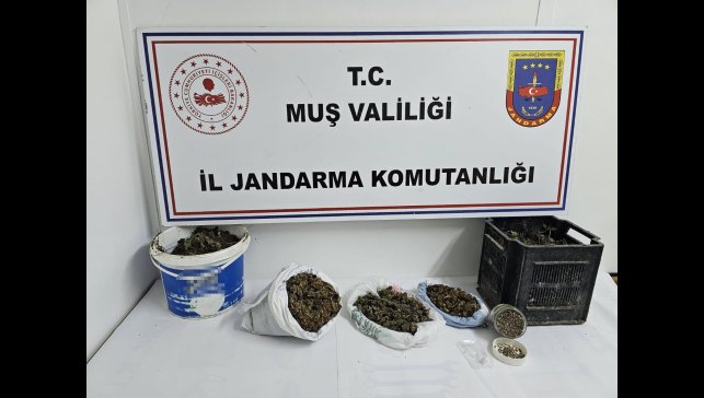 Muş'ta uyuşturucu operasyonu