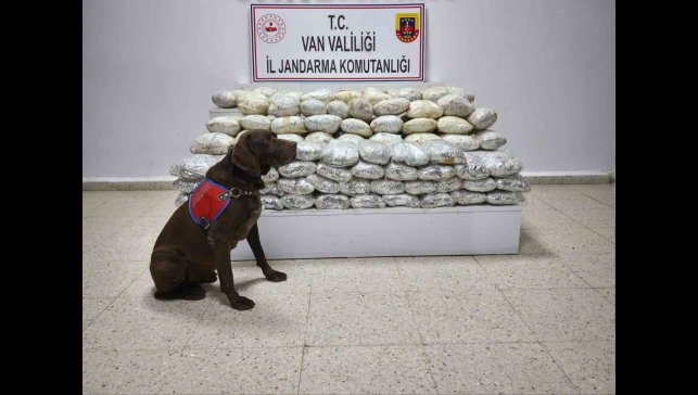 Başkale'de 60 kilo uyuşturucu ele geçirildi