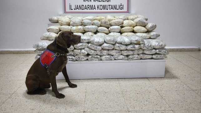 Van'da 60 kilogram uyuşturucu ele geçirildi