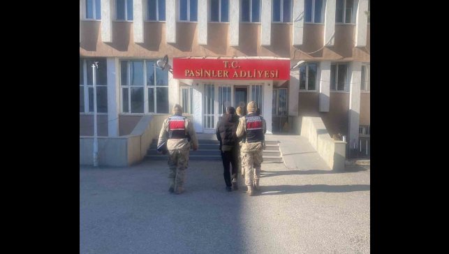 Jandarma büyükbaş hayvan hırsızlarını kısa sürede yakaladı