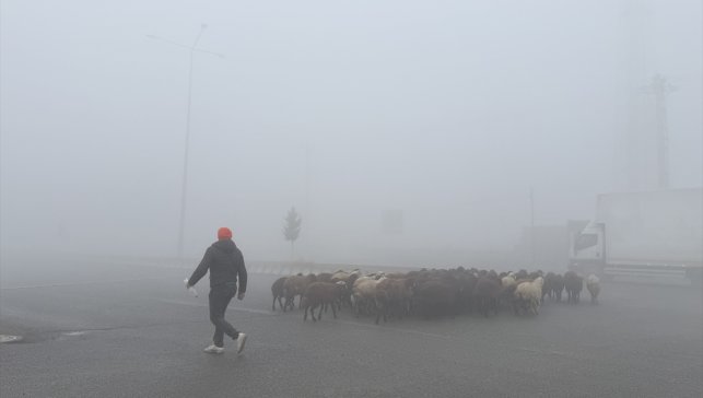 Iğdır'da yoğun sis etkili oluyor