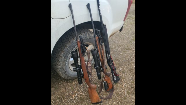 Erzincan'da yaban keçisi vuran 2 şahısa 970 bin 827 TL ceza uygulandı