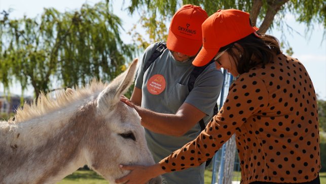 Borusan Grubu Okyanus Kampüsü projesini başlatacak
