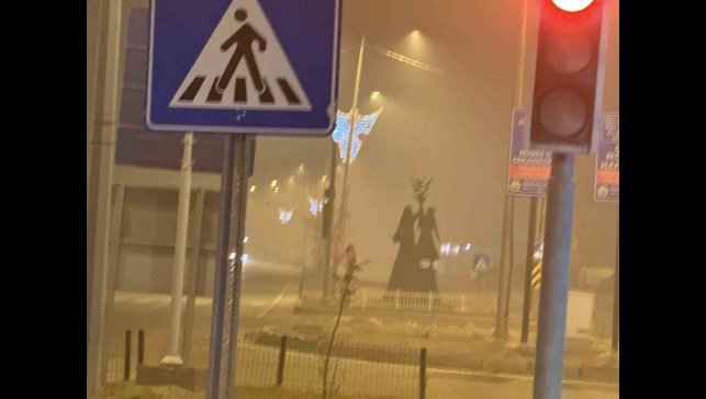 Iğdır'da gece saatlerinde yoğun sis etkili oldu