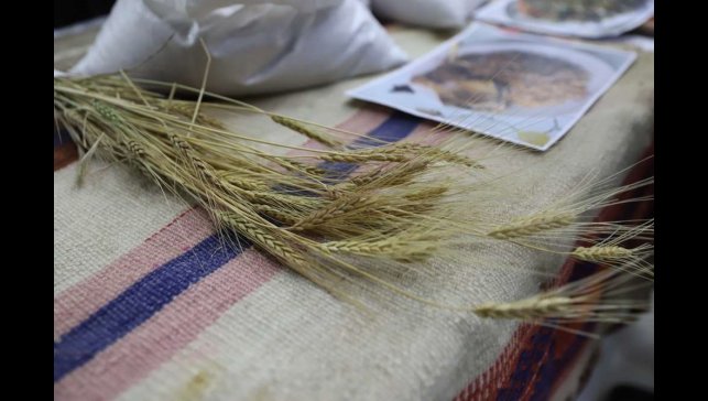 Bölgenin değeri: Ardahan Kavılcası