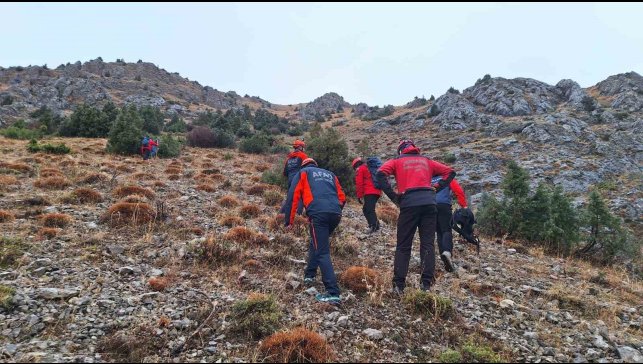 Erzincan'da kayalıklarda mahsur kalan 11 keçi 3 saatlik operasyonla kurtarıldı