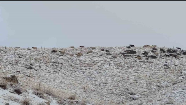 Van'da kış yüzünü gösterdi: Erek Dağı ve çevresi beyaza büründü