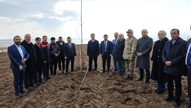 Bitlis'te çiftçilere 12 bin sertifikalı ceviz fidanı dağıtımına başlandı