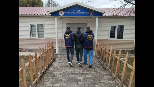 Muş'ta dolandırıcılık suçundan aranan hükümlü yakalandı