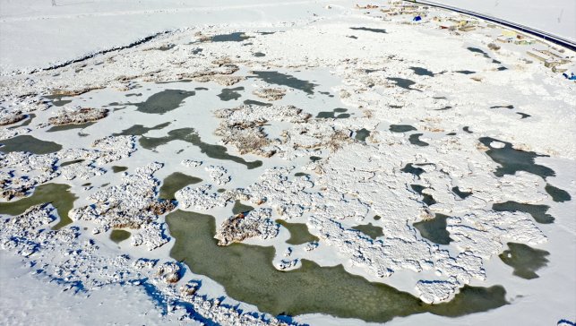 Afrika'dan Rusya'ya göç eden kuşları ağırlayan Çalı Gölü dondu
