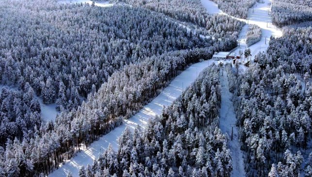 Kars'ta karla kaplanan sarıçam ormanları dronla görüntülendi