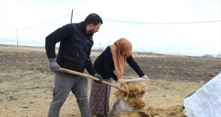 Gelin gittiği Ağrı'da köye ayak uyduran kadın besicilikte örnek oluyor