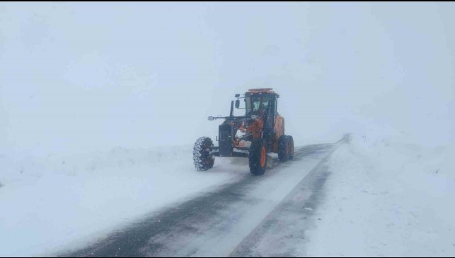 Van'da 28 yerleşim yerinin yolu ulaşıma kapandı