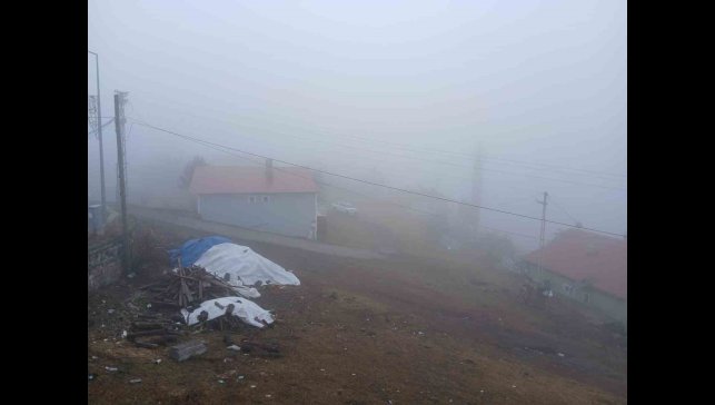 Posof'ta yoğun sis etkiliyor oluyor