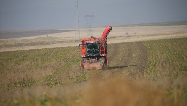 Kars'ta 94 bin ton pancar şekere dönüştürüldü