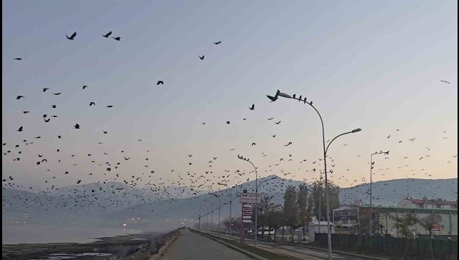 Tatvan sahilinde gökyüzünde sıra dışı manzara