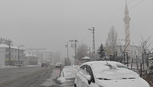 Muş'un Varto ilçesinde kar etkili oldu