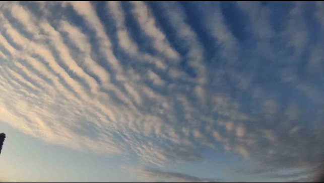 Sirrokümülüs bulutları Van semalarında görsel şölen sundu