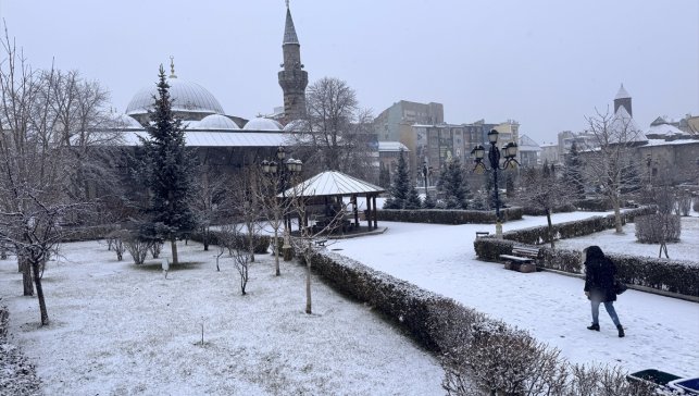 Erzurum, Kars, Ardahan ve Tunceli'de kar etkili oluyor