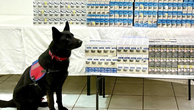 Van'da 8 bin 200 paket gümrük kaçağı sigara ele geçirildi