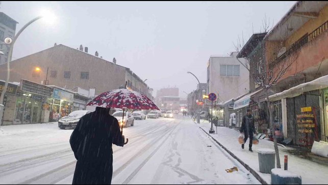 Başkale'de kar yağışı etkili oldu