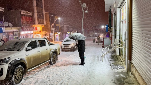 Van'da kar etkili oldu