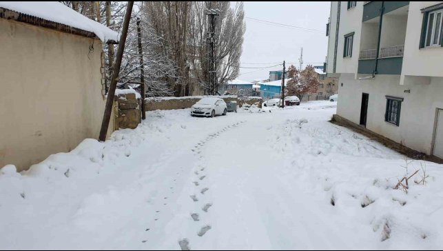 Başkale'de kar etkili oldu