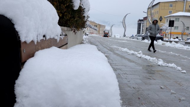 Van ve Hakkari'de kar nedeniyle 172 yerleşim yerine ulaşım sağlanamıyor