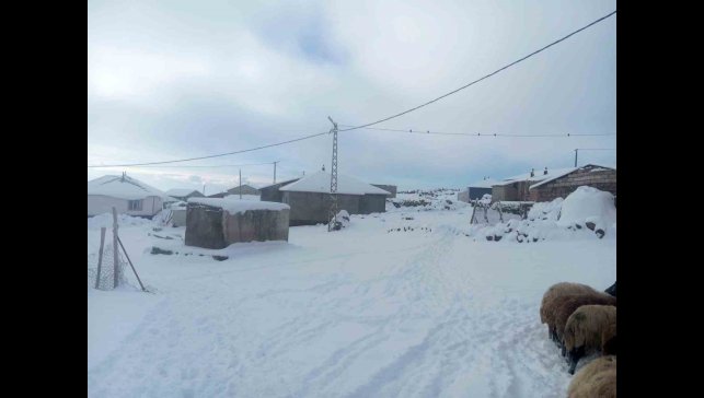 Karla birlikte Türkiye'nin en yüksek köyü Kışkılı'da besiciler zor durumda kaldı