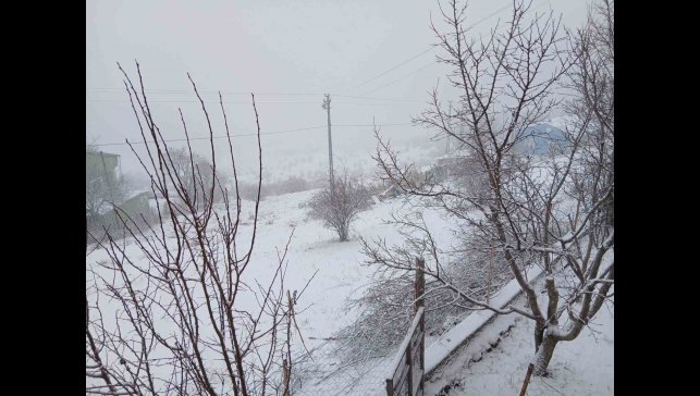 Posof'ta kar yağışı etkili oluyor