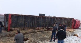 Ağrı'da devrilen tırdaki 10 küçükbaş hayvan telef oldu