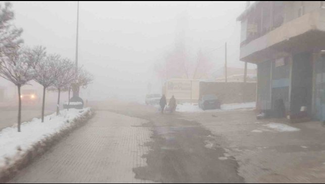 Başkale'de sis etkili oldu