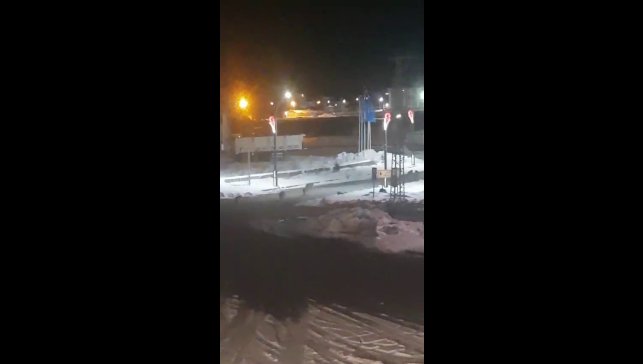 Karayazı'da akşam saatlerinde kurt alarmı